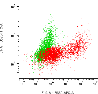 Rabbit-anti IL22 monoclonal antibody