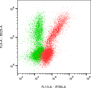 Rabbit-anti CD8B monoclonal antibody