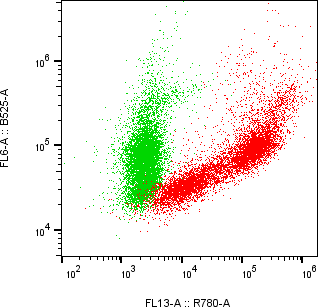 Rabbit-anti KIR2DL5A monoclonal antibody