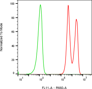 Rabbit-anti IL12B monoclonal antibody