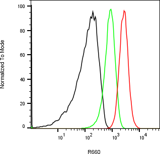 Rabbit-anti TGFBI monoclonal antibody