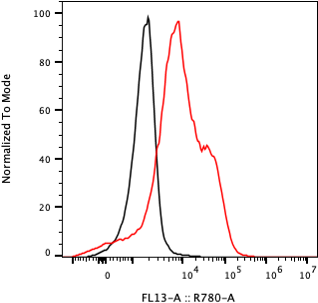 Rabbit-anti EFNB1 monoclonal antibody