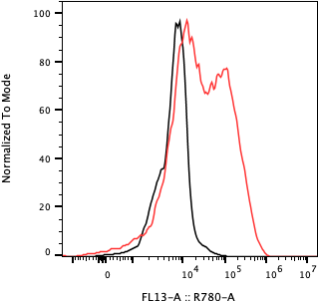 Rabbit-anti CGA monoclonal antibody