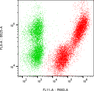 Rabbit-anti PAEP monoclonal antibody