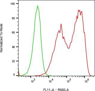 Rabbit-anti GC monoclonal antibody