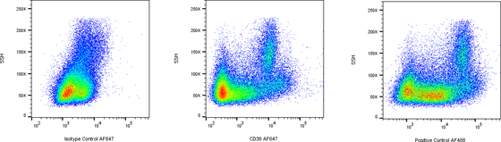 Rabbit-anti CD38 monoclonal antibody