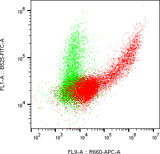Rabbit-anti LILRB3 monoclonal antibody
