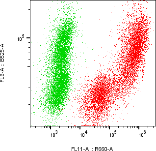 Rabbit-anti GC monoclonal antibody