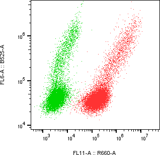 Rabbit-anti CD69 monoclonal antibody