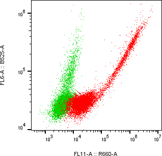 Rabbit-anti CDH13 monoclonal antibody