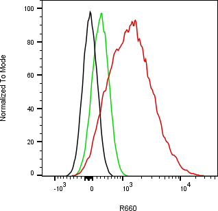 Rabbit-anti COL3A1 monoclonal antibody