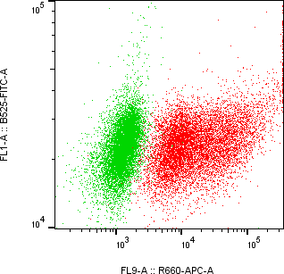 Rabbit-anti RBP3 monoclonal antibody