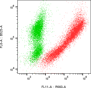 Rabbit-anti FSTL1 monoclonal antibody