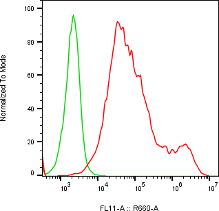 Rabbit-anti MXRA8 monoclonal antibody