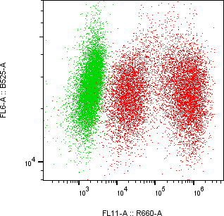 Rabbit-anti KLK6 monoclonal antibody