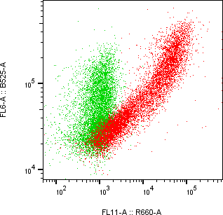 Rabbit-anti HEPACAM monoclonal antibody