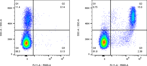 Rabbit-anti CD300LF monoclonal antibody