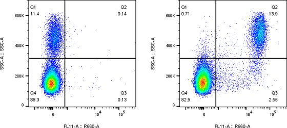 Rabbit-anti LILRA5 monoclonal antibody