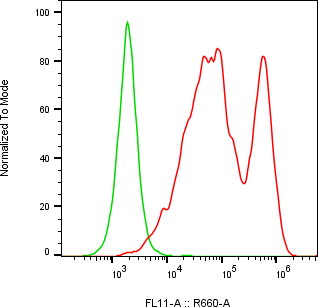 Rabbit-anti BTC monoclonal antibody