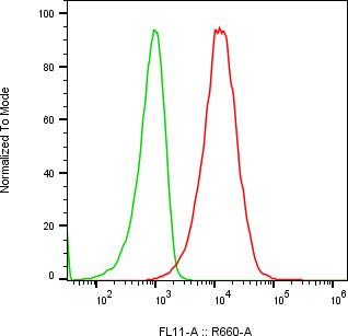 Rabbit-anti BMP10 monoclonal antibody