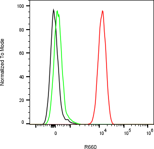 Rabbit-anti SFTPD monoclonal antibody