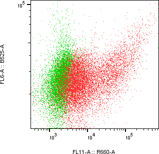 Rabbit-anti LRRC3 monoclonal antibody