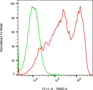 Rabbit-anti CSH2 monoclonal antibody