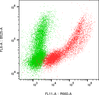 Rabbit-anti DEFB115 monoclonal antibody