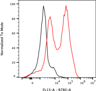 Rabbit-anti GAST monoclonal antibody