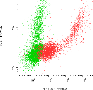 Rabbit-anti SMR3B monoclonal antibody