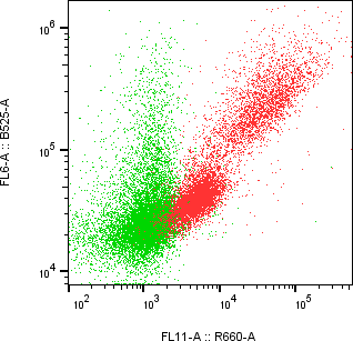Rabbit-anti SPINK2 monoclonal antibody