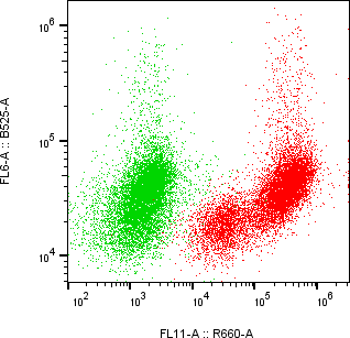 Rabbit-anti AMBP monoclonal antibody