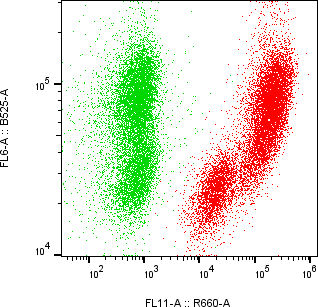 Rabbit-anti CFHR2 monoclonal antibody