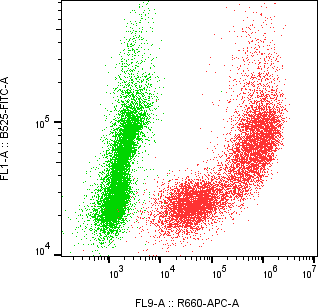 Rabbit-anti PTGDS monoclonal antibody