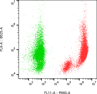 Rabbit-anti ULBP2 monoclonal antibody