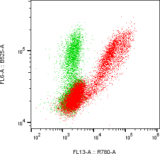 Rabbit-anti hIGF2 monoclonal antibody