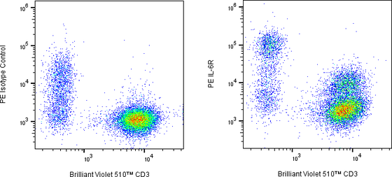 Rabbit-anti ITGB1 monoclonal antibody