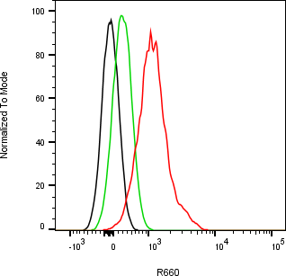Rabbit-anti FSTL1 monoclonal antibody
