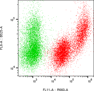 Rabbit-anti APOH monoclonal antibody