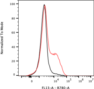Rabbit-anti NRG1-&beta;1-EGF monoclonal antibody