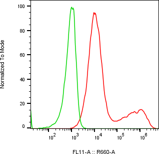 Rabbit-anti TSPAN8 monoclonal antibody