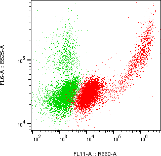 Rabbit-anti SERPINF2 monoclonal antibody