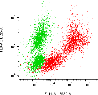 Rabbit-anti FSTL3 monoclonal antibody