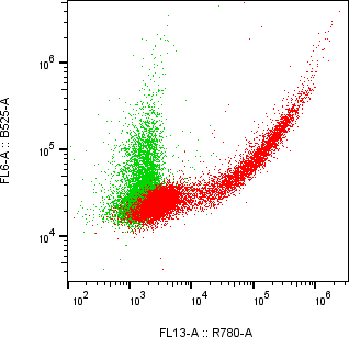 Rabbit-anti KIR2DL1 monoclonal antibody