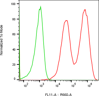 Rabbit-anti PAEP monoclonal antibody