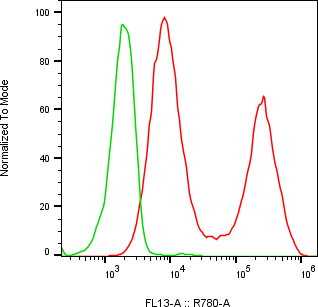 Rabbit-anti LYZ monoclonal antibody