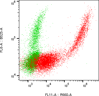 Rabbit-anti NECTIN4 monoclonal antibody