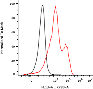 Rabbit-anti EFNA3 monoclonal antibody