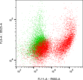 Rabbit-anti KERA monoclonal antibody