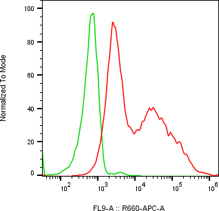 Rabbit-anti NCR2 monoclonal antibody
